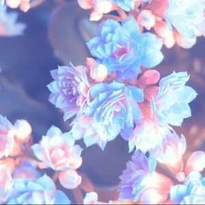 Meet your Posher, Paola